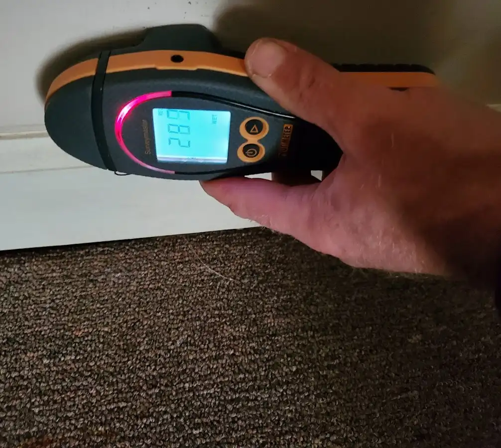 Moisture detection at baseboard during Sewage Cleanup & Sanitation in Wausau